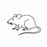 ratten
