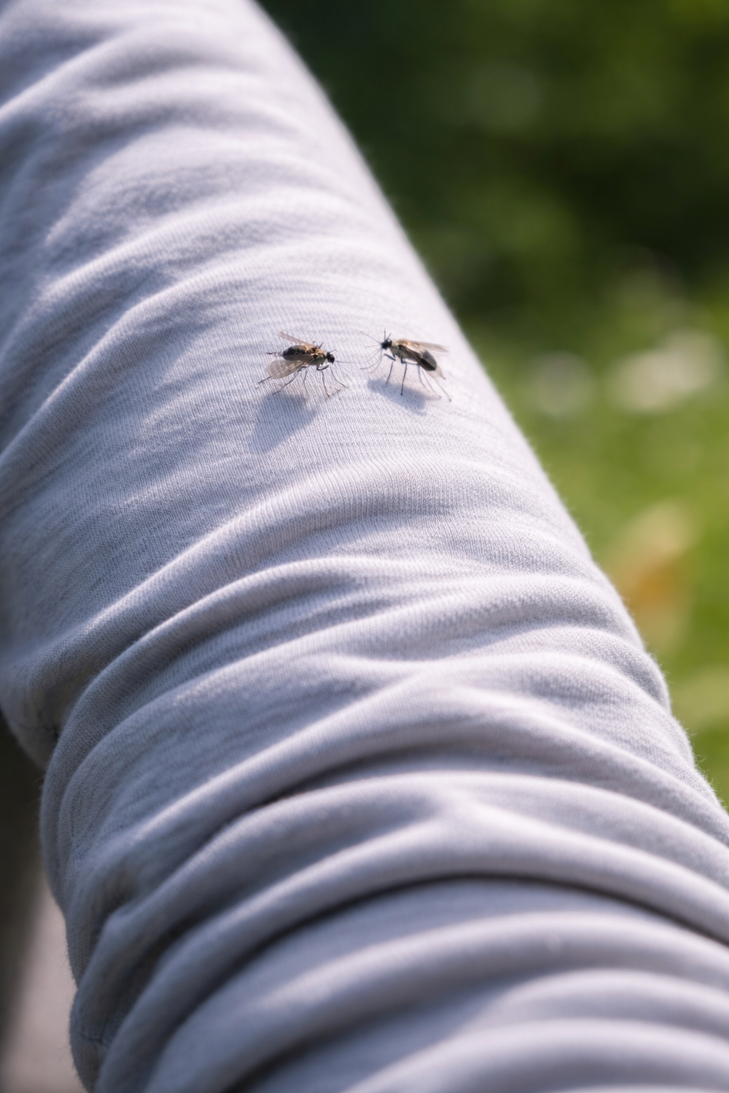 Kunnen muggen door kleding steken?